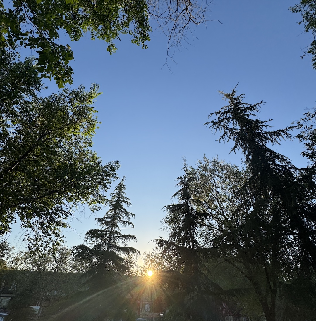 R-E-S-E-T: Un framework suave para el cambio intencional